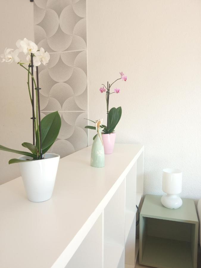 Free Parking, Balcony, Near To City Park بودابست المظهر الخارجي الصورة