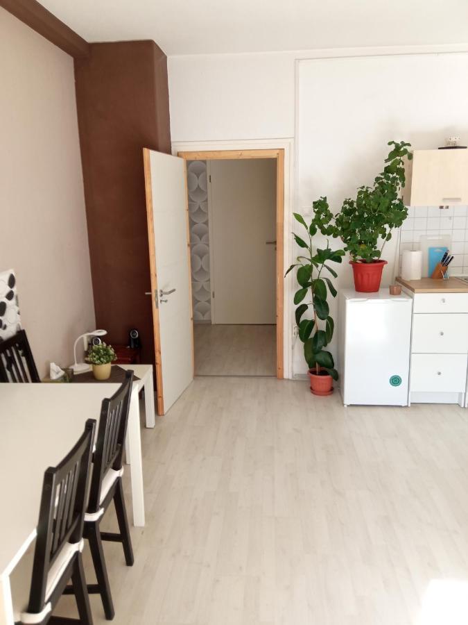 Free Parking, Balcony, Near To City Park بودابست المظهر الخارجي الصورة