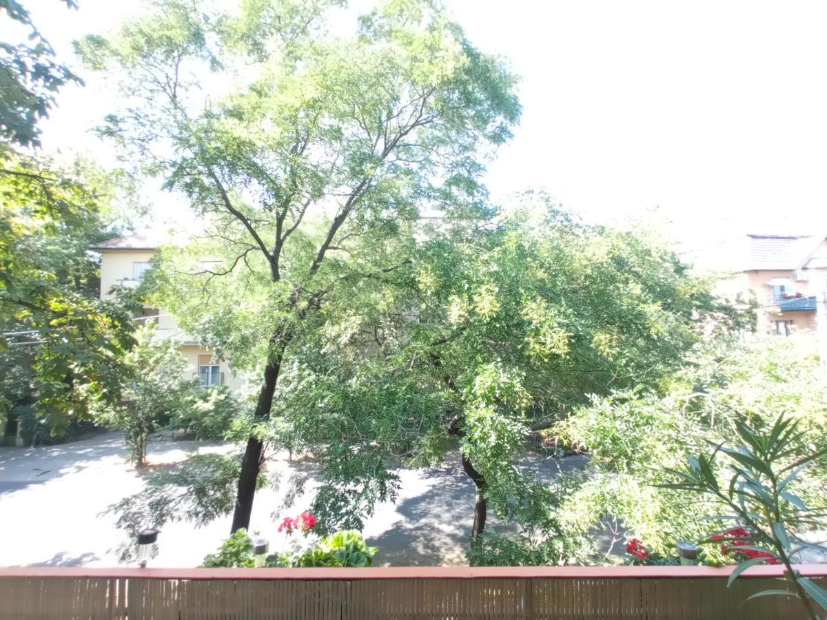 Free Parking, Balcony, Near To City Park بودابست المظهر الخارجي الصورة