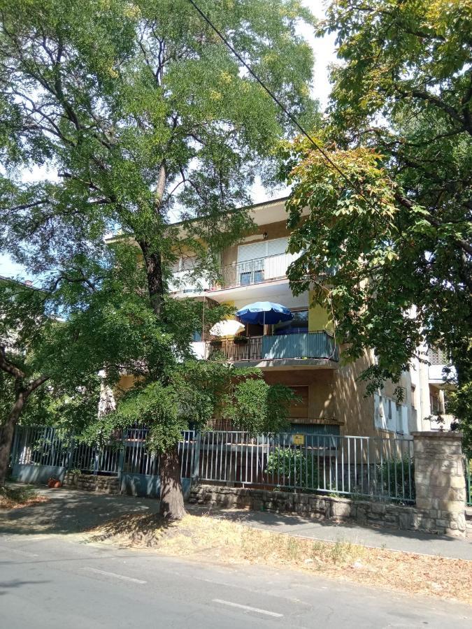 Free Parking, Balcony, Near To City Park بودابست المظهر الخارجي الصورة