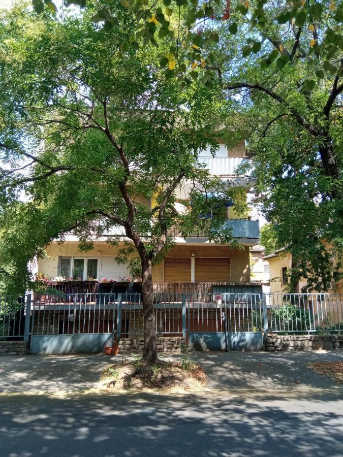 Free Parking, Balcony, Near To City Park بودابست المظهر الخارجي الصورة